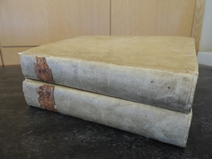 Two books bound in vellum stacked on top of each other showing leather spine labels that have been partly chipped off the spine.