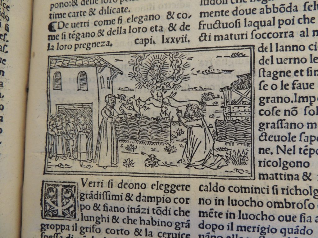 A herd of goat-like animals in a small coral next to a building, several men and women standing outside the building. A woman near the fence of the corral. A man kneeling with hands clasped. A man-like figure in the sky surrounded by a nimbus.