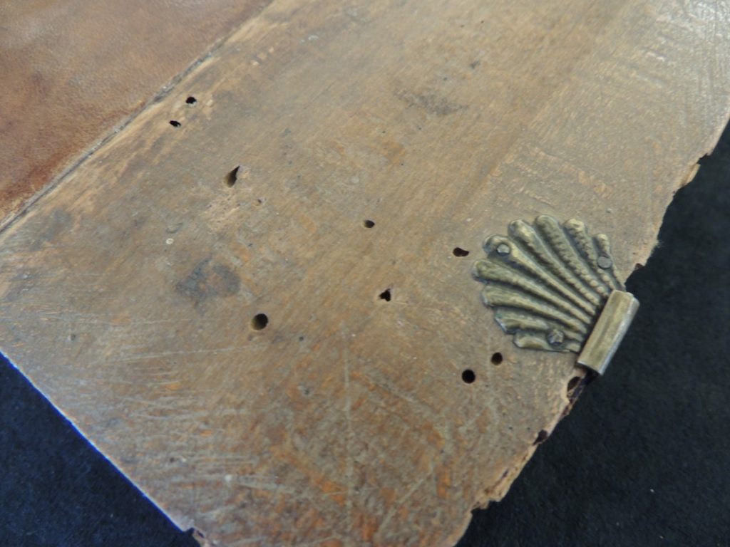 Wormholes on wooden board of old rare book with seashell clasp attached.