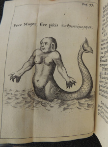 Black and white engraving of a creature that is half human with a long fish's tail. The human part is nude to the waste and appears to be female. Script on the illustration reads, "Pece Muger, sive piscis," followed by letters in Greek.