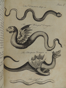 Black and white engraving of four types of serpents, the common asp, the winged dragon, the Ethiopian dragon, and the scytale. The two dragons are shown with wings. The Ethiopian dragon is illustrated with wings and two legs.