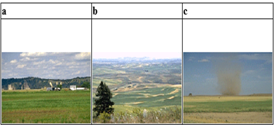 Image contains three different landscapes: (a) uniform, relatively flat, (b) uneven hills-valleys land, and (c) sandy-grassy-rocky combination.