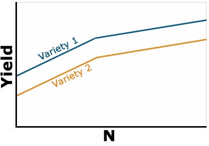 Line graph showing yield of two varieties increase with increase in N content similarly with lines parallel, indicating no interaction present.
