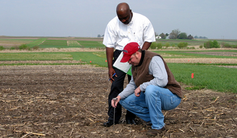 Two researchers in the field recording soil temperature, one squatting the other standing.