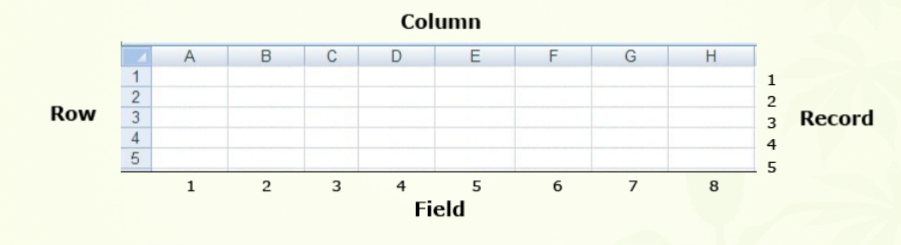 A blank spreadsheet showing rows represent record and columns represent field.