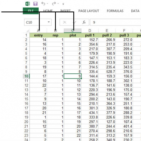 Image of a partial display of rows and columns of sampled data.