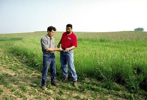 Two researchers looking at a soil sample on a soybean field plot.