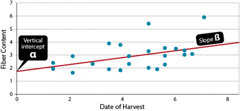 A scatter plot graph of date of harvest (on X-axis) and fiber content (on Y-axis), showing a positive correlation between the two traits.