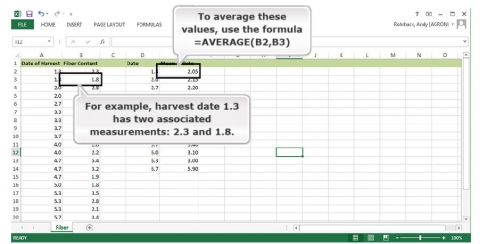 A spreadsheet of harvest date and corresponding fiber yield, and a column of single point harvest data and a column of average values for each date.