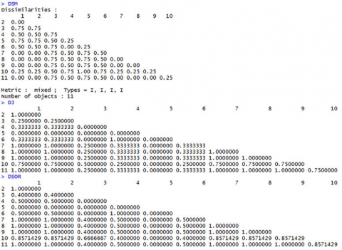 R output of dissimilarity coefficients for the D, DSM, and DSOR methods.