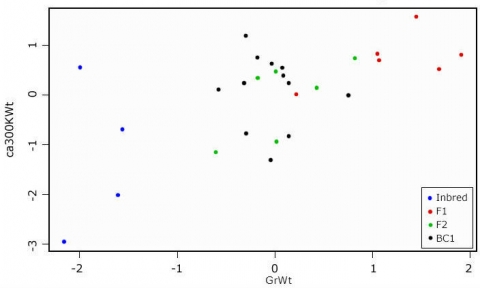 Graph of GrWt by ca300KWt