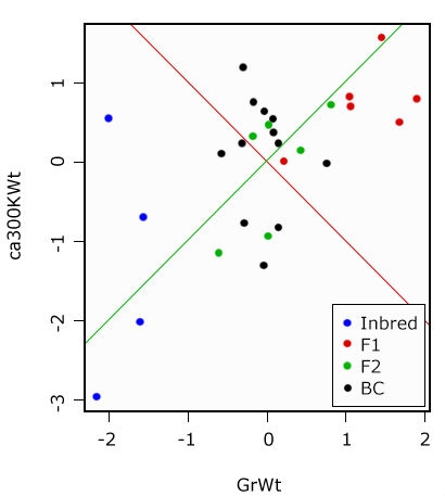 PCA example of GrWt by ca300LWt comparing inbred to F1, F2, and BC progeny.