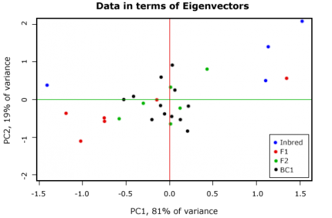 Image of PC analysis output of eigenvectors and PC1 accounting for 81% of variance on horizontal axis, and PC2 on vertical axis accounting for 19 % of the variance.