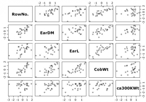 Multiple scatterplots showing correlations among different traits (RowNo, EarDM, EarL, CobWt, and ca300KWt.