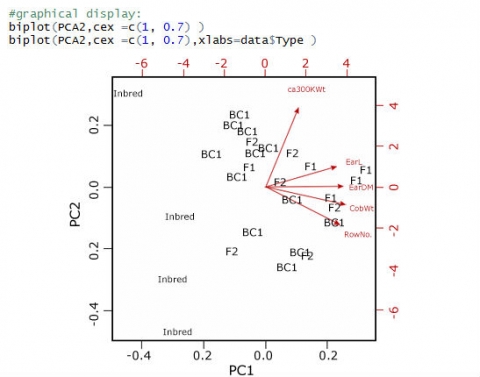 R output and scree plot, a biplot of the different families as points and ear variables as vectors.