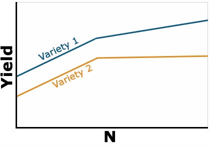 Line graph showing yield of two varieties increase with increase in N content, but variety 2 yield begin to decrease at some point while variety 1 continues to increase, indicating a positive interaction present.