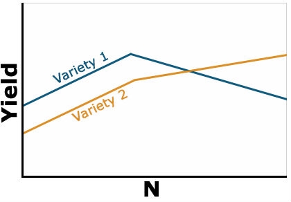 Line graph showing yield of two varieties increase with increase in N content similarly to a point then variety 1 yield decreases and goes below variety 2 indicating negative interaction present.