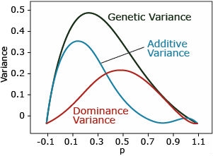 Graph shows that with overdominance, genetic variance (black line, highest at 0.5) is due to lower amount of additive variance (blue line) at 0.35 at allele frequency of around 0.1, and the rest is dominance variance (orange line) low at 0.2 for allele frequency of 0.5.
