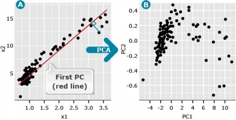 Graph of X1 by X2 plot on the left showing positive correlation shows the first PC (red line ).