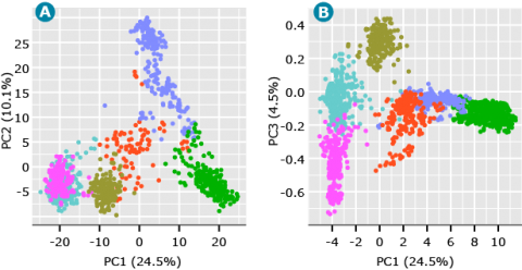 Graph A of PC1 by PC2 shows six potential clusters with significant overlap of turquois and pink clusters, and some overlap among purple, orange, green, and brownish clusters, while graph B of PC1 by PC3 shows better separation of turquois and pink clusters and some touching of the ends of the other clusters with each other.