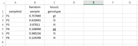 Spreadsheet with locus1 genotypes (gt, tt, gg) added in column C.