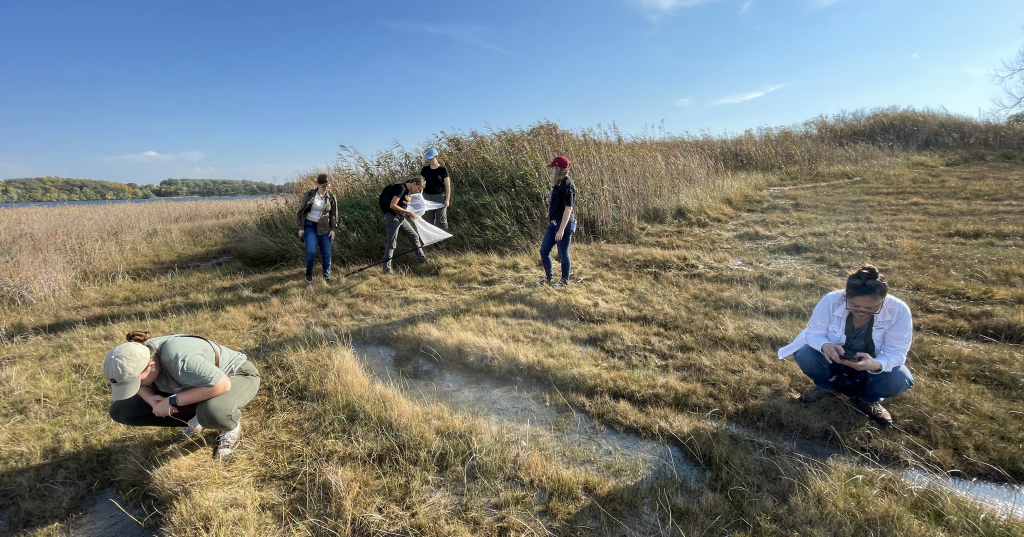 Students and faculty explore a fen.