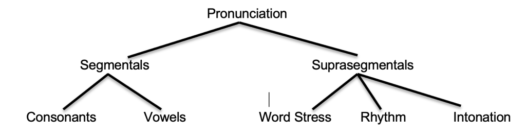 Pronunciation features classified under segmentals (sounds) and suprasegmentals (stress, rhythm and intonation).