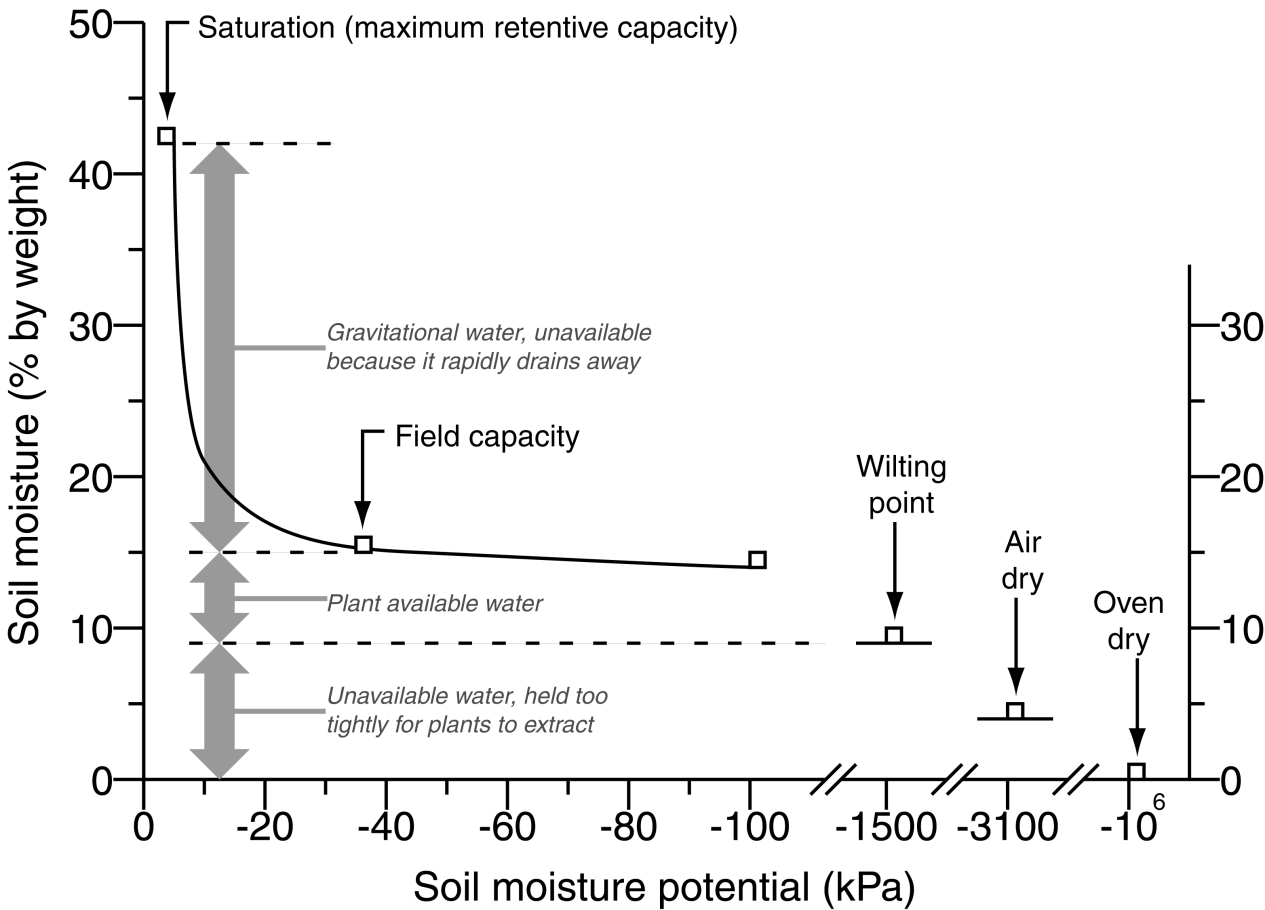 Soil water curve