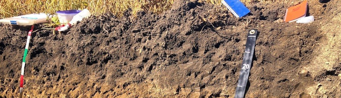 Soil profile