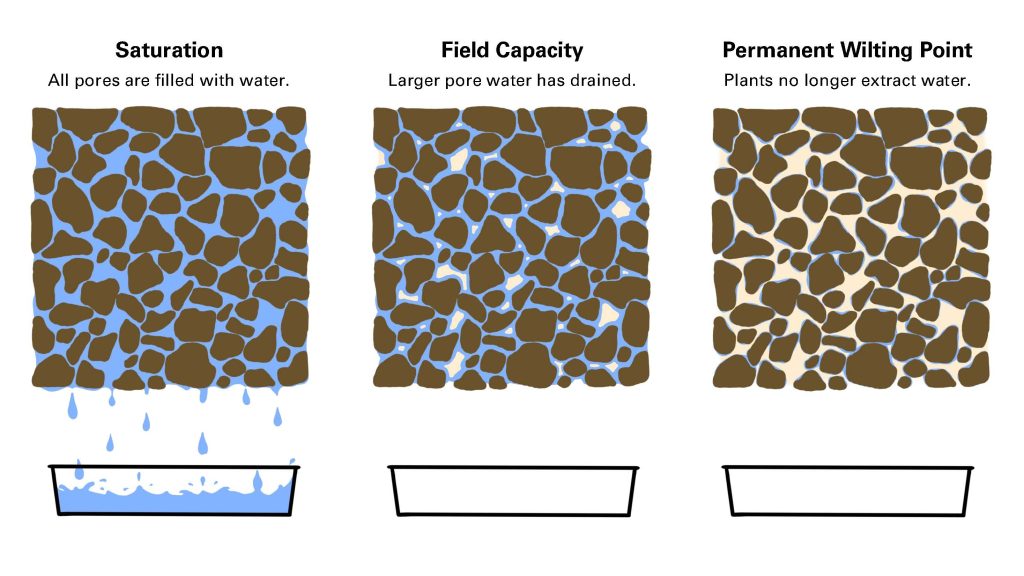 Soil going from saturation to field capacity to the permanent wilting point