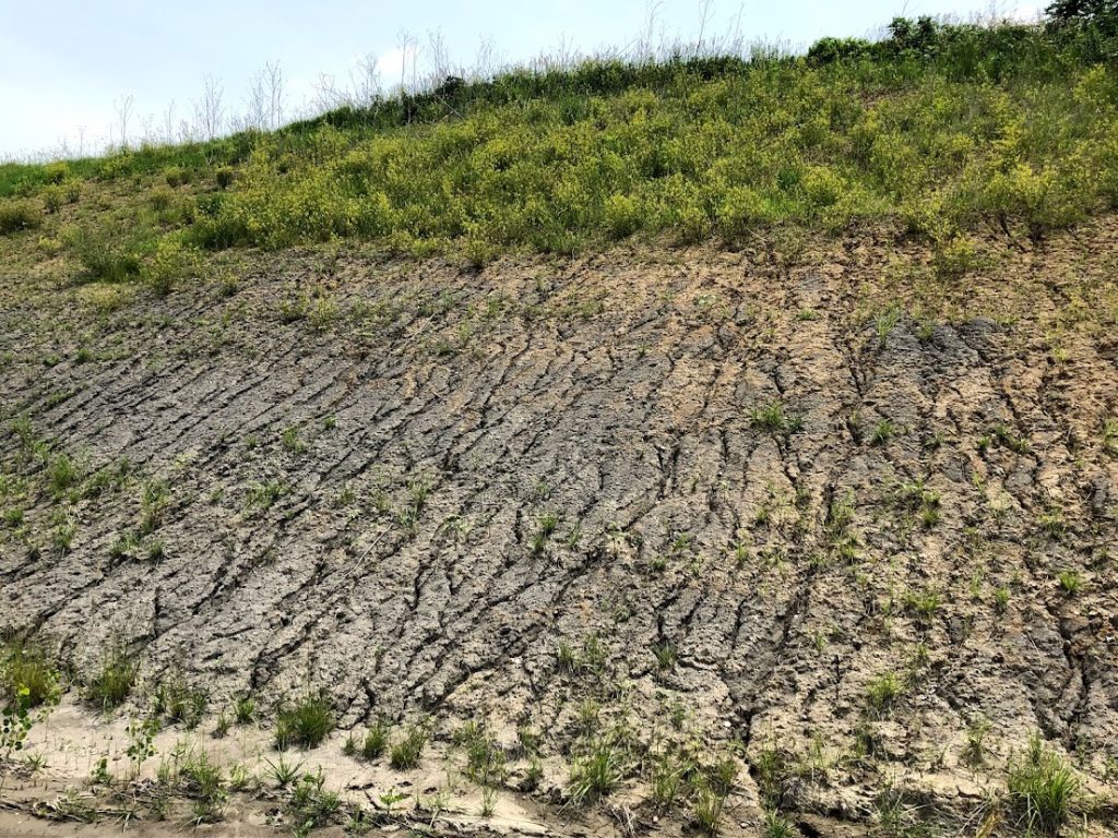 Hill slope with vegetation on the upper third, but sparse vegetation on the bottom two-thirds.