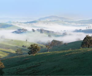 Misty mountain landscape.