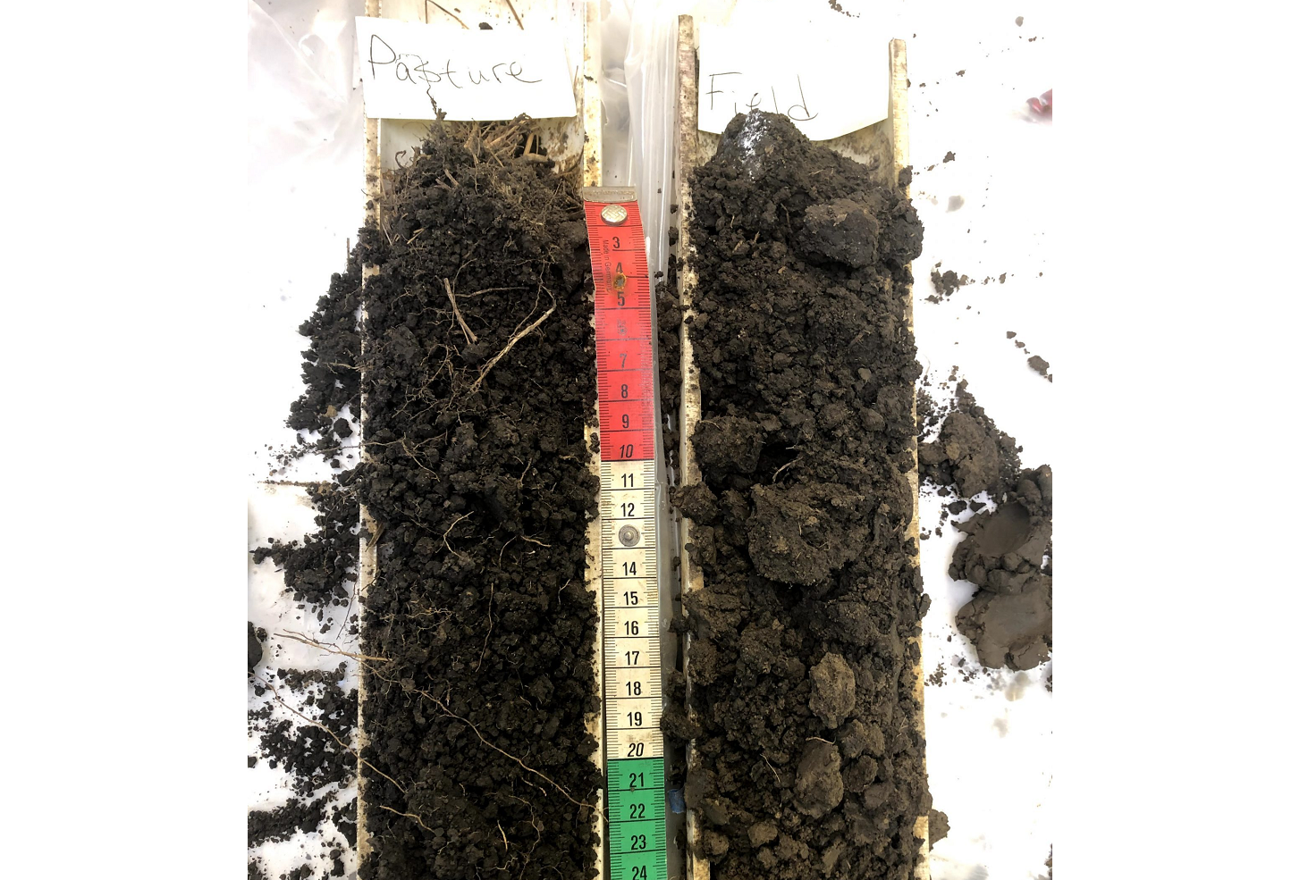 Two soil profiles sitting next to each other, taken from the same field/soil but two treatments.