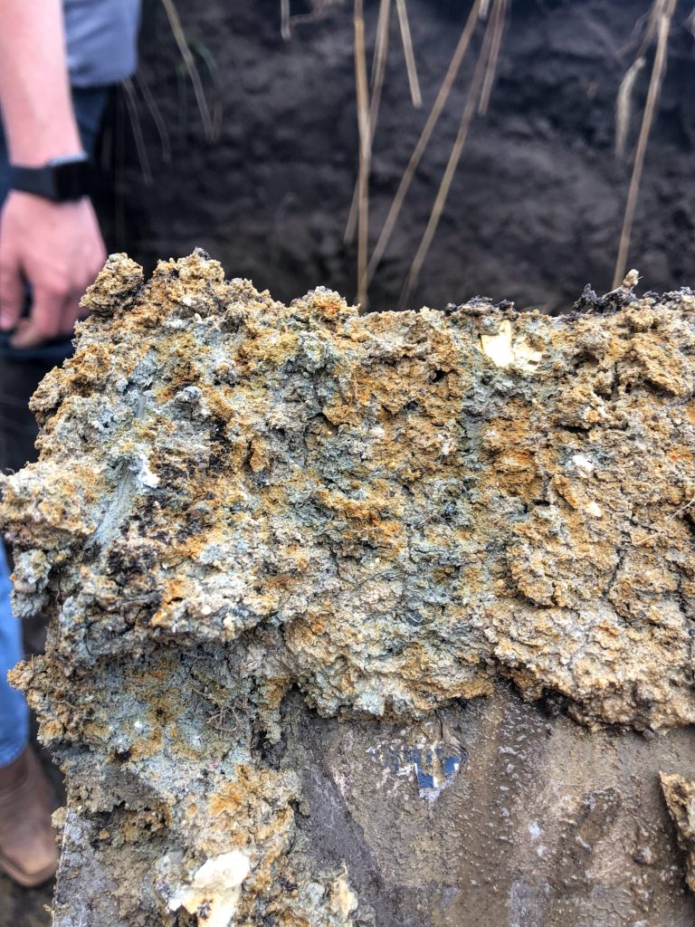 Soil ped of pale brown color showing orange and gray features indicating redox features are present.