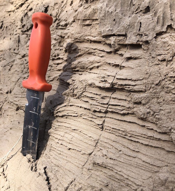 Clear aeolian sand layers approximately the height of a soil knife.