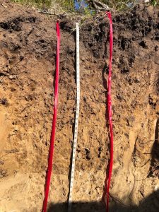 Soil exposure approximately 5 feet deep, showing a darker soil color in the top foot, fading to chocolatey-brown colors in the middle, with a sharp line with lighter colors at the base. Calcium carbonate in this soil has not been weathered out yet, as the soil is too young.
