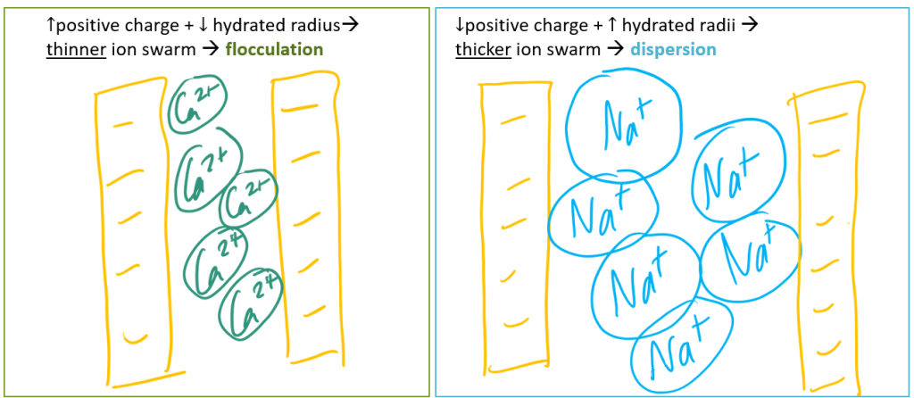 ↑positive charge + ↓ hydrated radius -> thinner ion swarm -> flocculation |↓positive charge + ↑ hydrated radii -> thicker ion swarm -> dispersion
