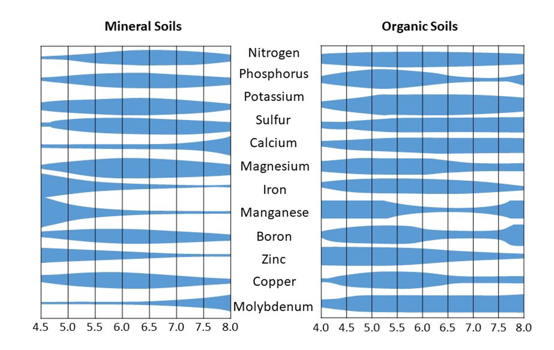 Nutrient availability diagram with thicker lines representing greater availability