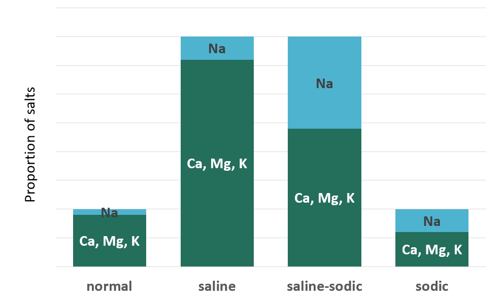 graph showing relative proportions and amounts of salts in salt-affected soils