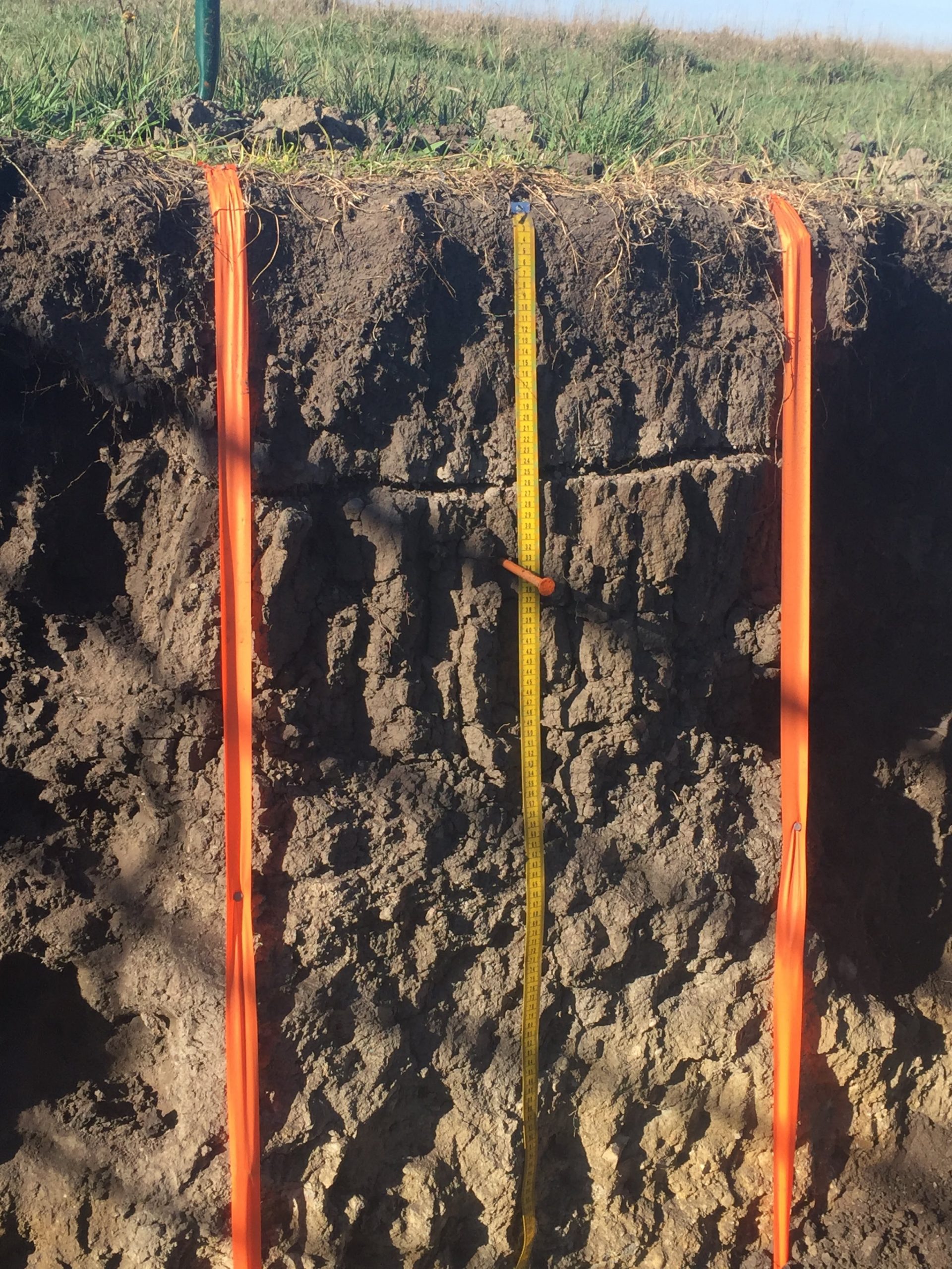 Soil profile