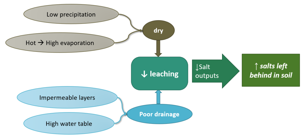 conceptual diagram