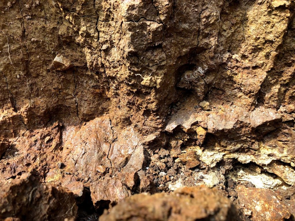 Craggy, rocky soil with some moisture in the lower areas.