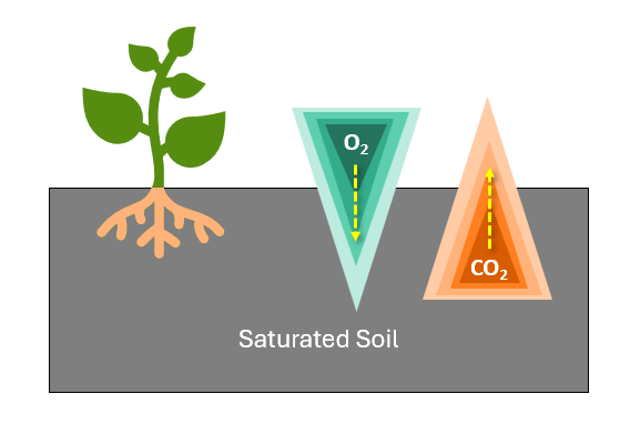 Diagram showing oxygen entering the soil and carbon dioxide exiting the soil.