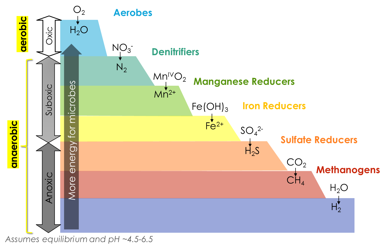 Redox ladder diagram in alternating colors.