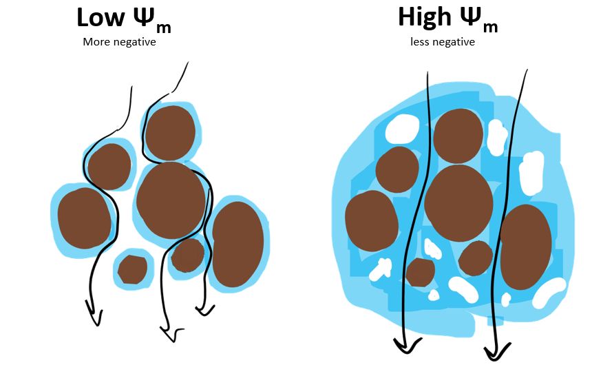 comparison of water flow in soil with low vs high matric potential