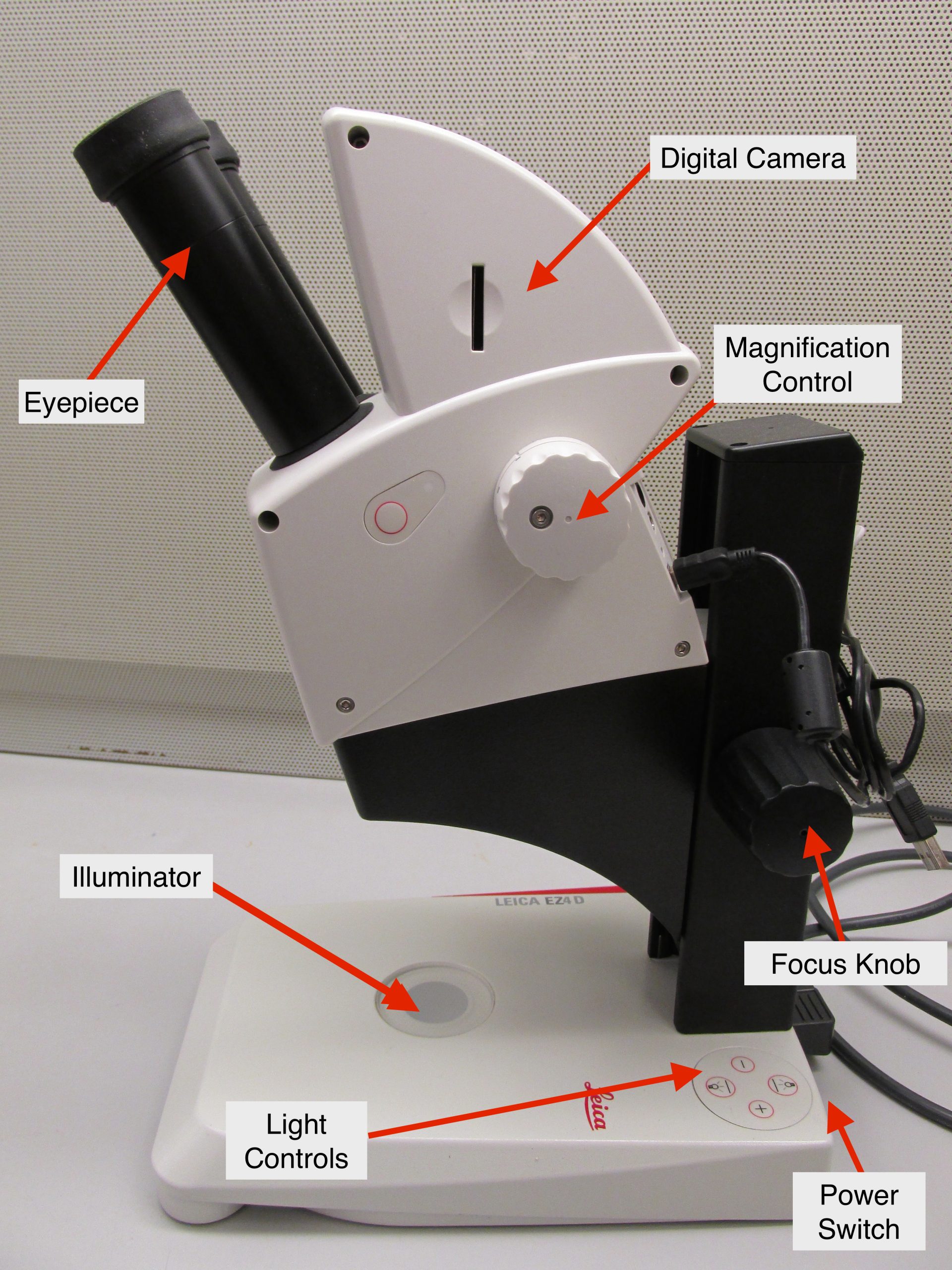Labeled photo of microscope. The eyepiece, focus knob, illuminator, and other controls are indicated.