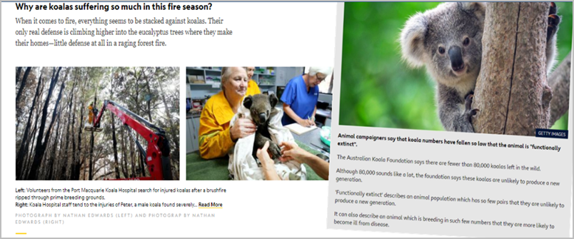 Screenshots of the original articles being tweeted about, one from National Geographic and the other from Newsround.