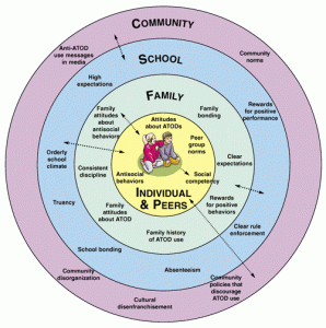 A series of concentric circles shows the relationship between each network, with the child in the center closest to their family, the microsystem, and removed from the community, the macrosystem.