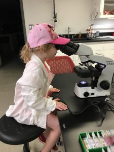 child at a lab looking into a microscope