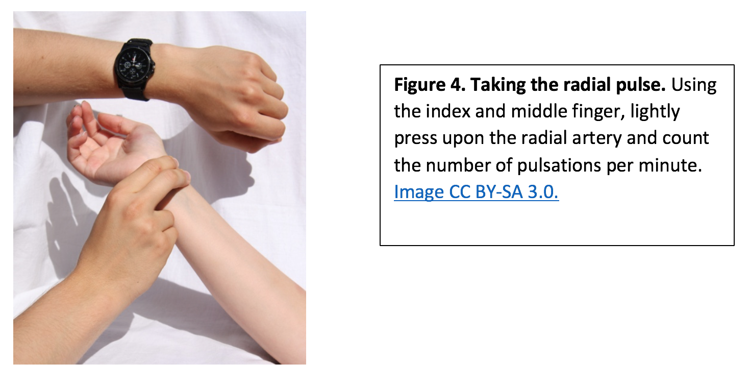 Clinical Techniques Assessment Of Vital Signs A Mixed Course Based Research Approach To Human